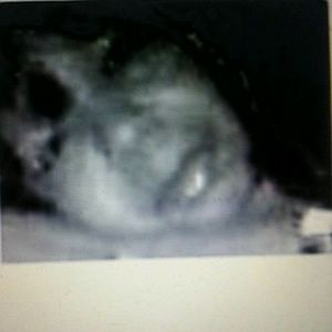 Meet your Posher, Edna